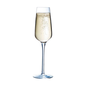 Champagneglas Chef & Sommelier 6 enheder Gennemsigtig Glas (21 cl)